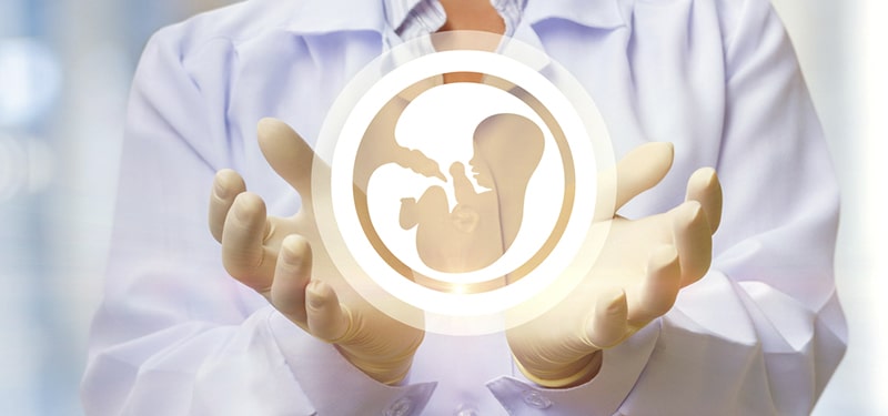 Right Donor Egg for Your IVF Treatment